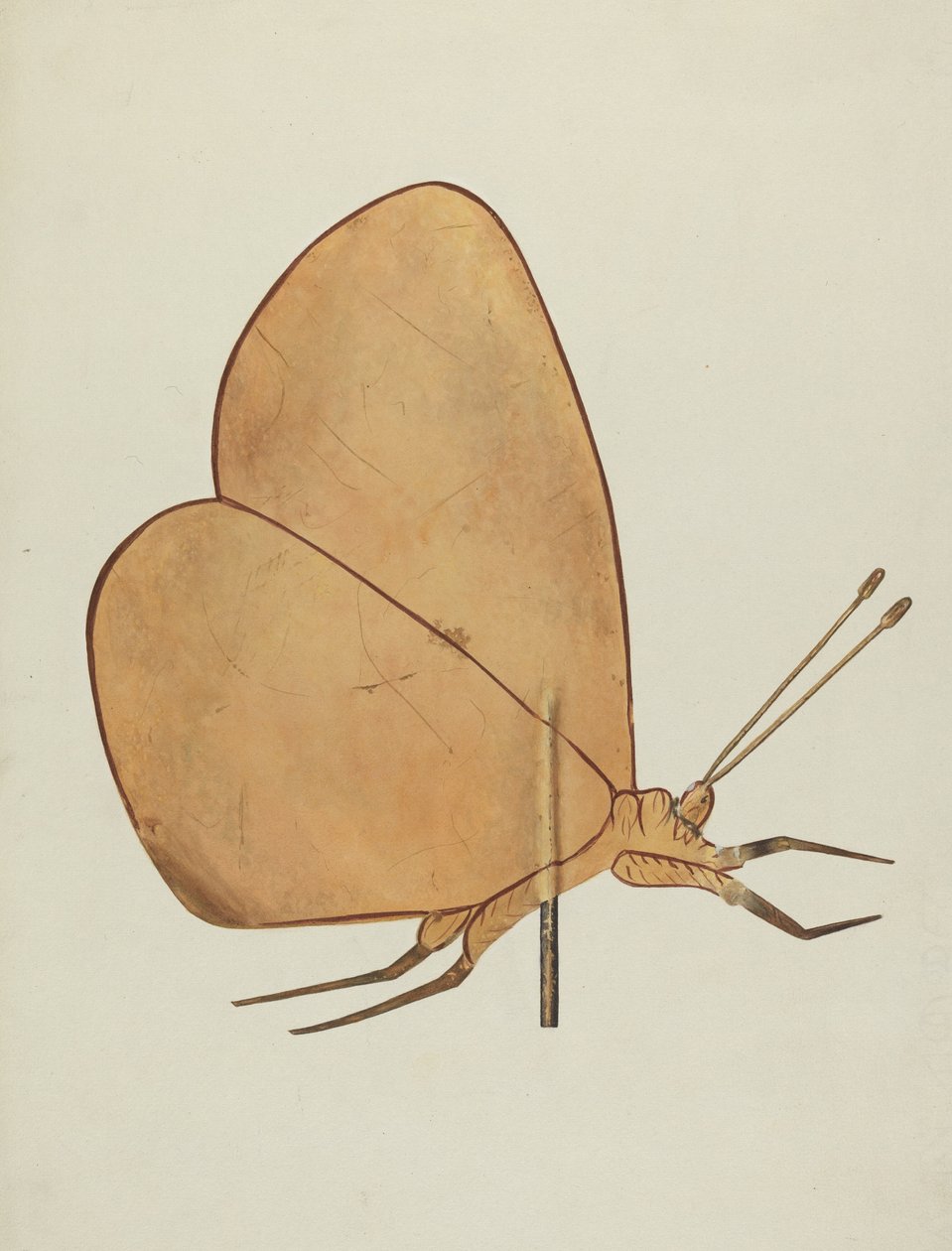 Pillangó szélkakas, c. 1938. alkotó: Hazel Hyde