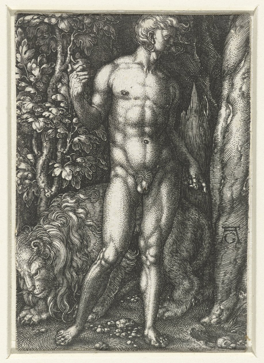 Ádám alkotó: Heinrich Aldegrever