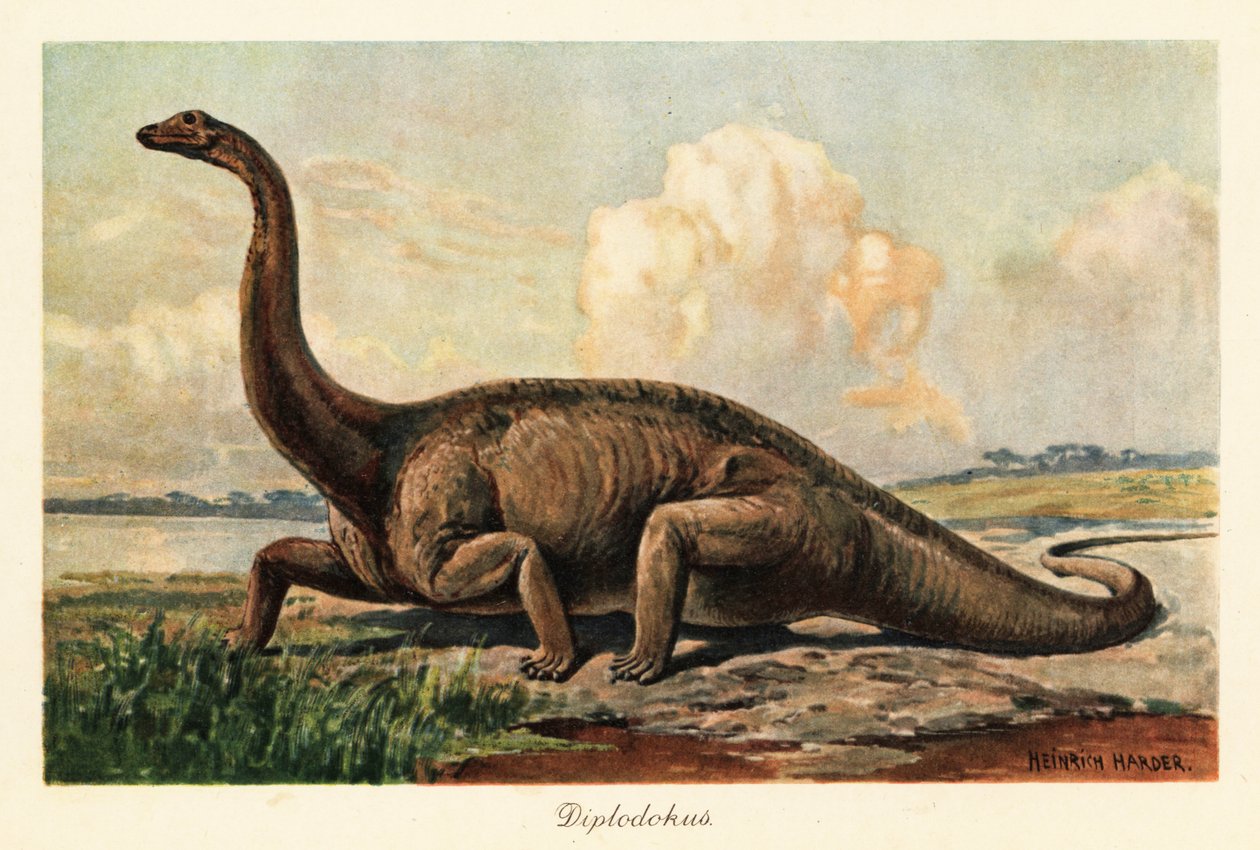 A síkságon kihalt Diplodocus longus. alkotó: Heinrich Harder