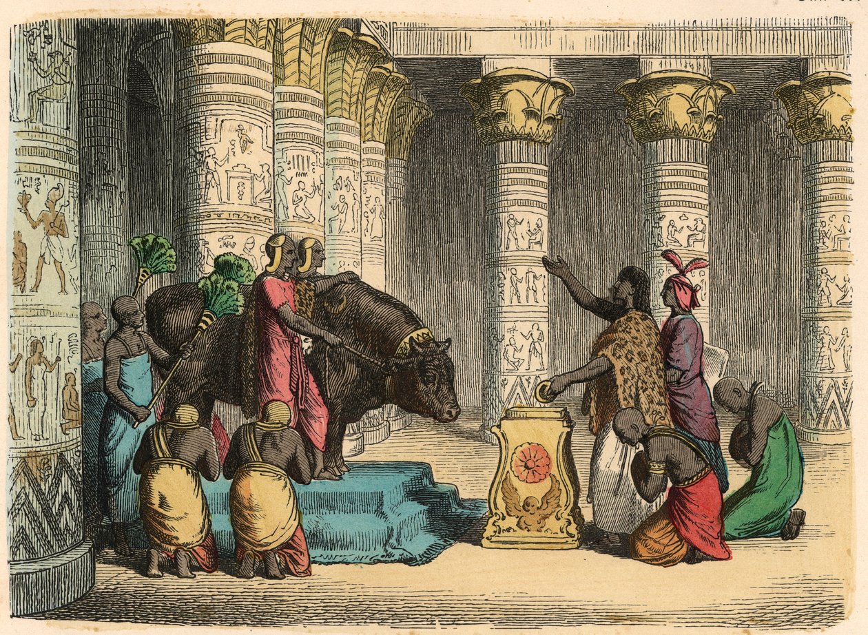 Az ókori Egyiptom: Apis Bull imádata alkotó: Heinrich Leutemann
