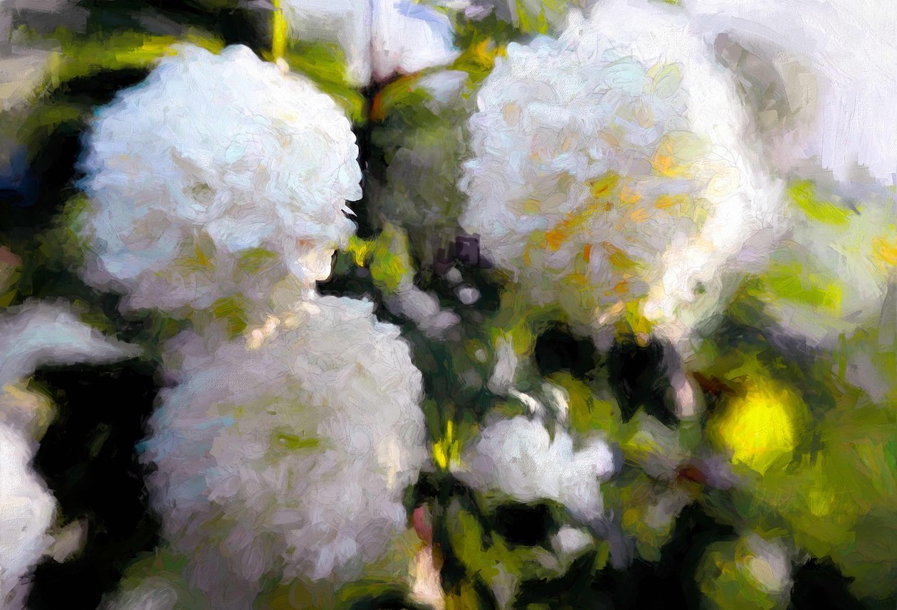 Big Blowsy Blooms, 2018, alkotó: Helen White