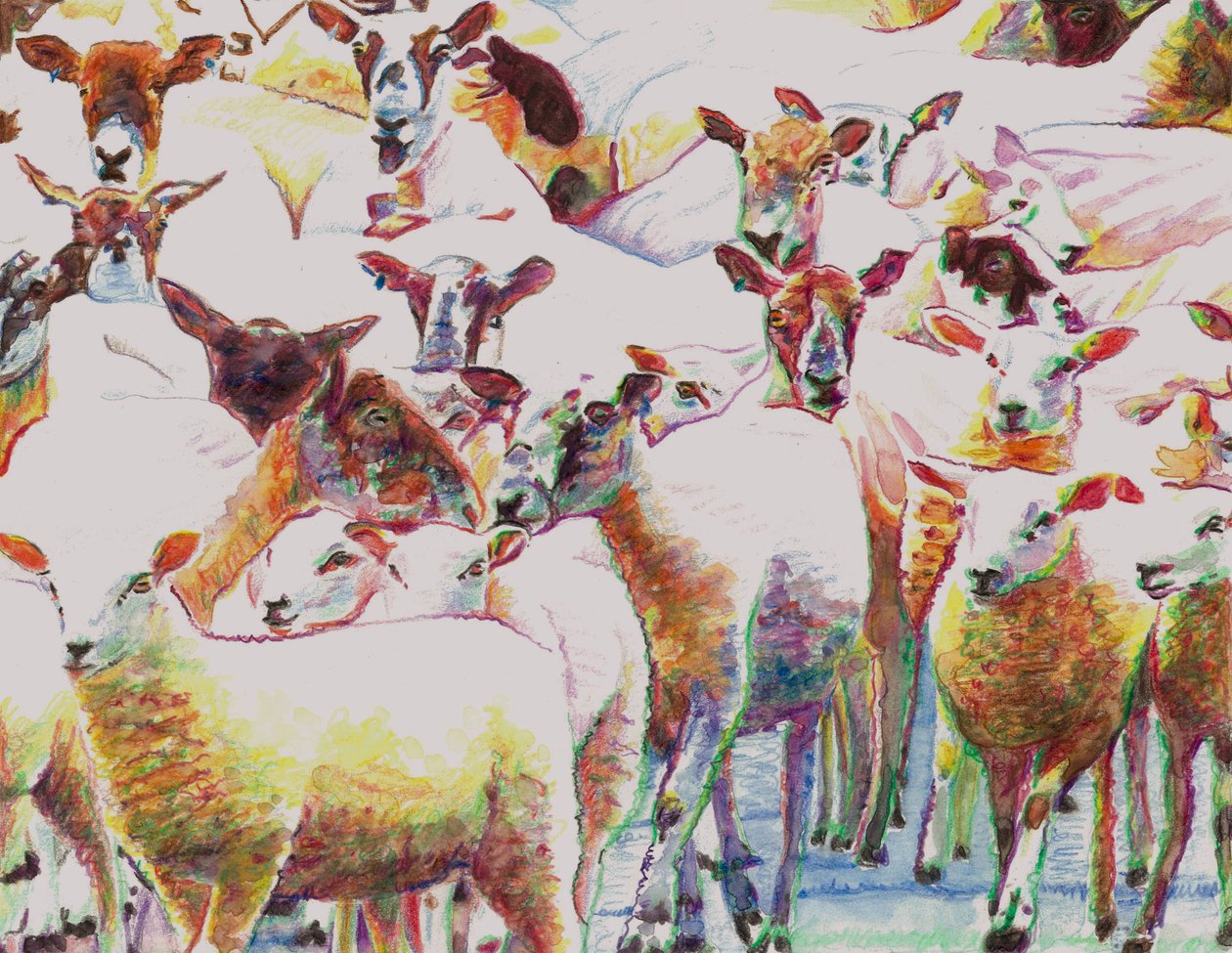 Flock, 2011, (színes ceruzák papíron) alkotó: Helen White