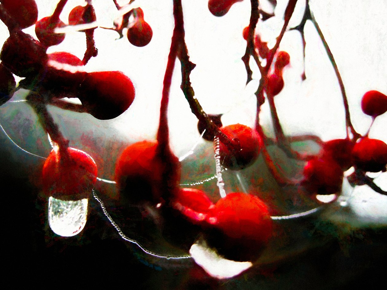 Lush Berries, 2018, alkotó: Helen White