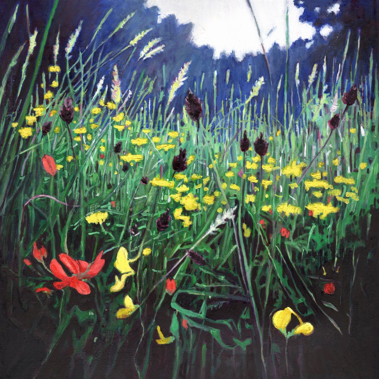 Meadow glory, 2015, alkotó: Helen White