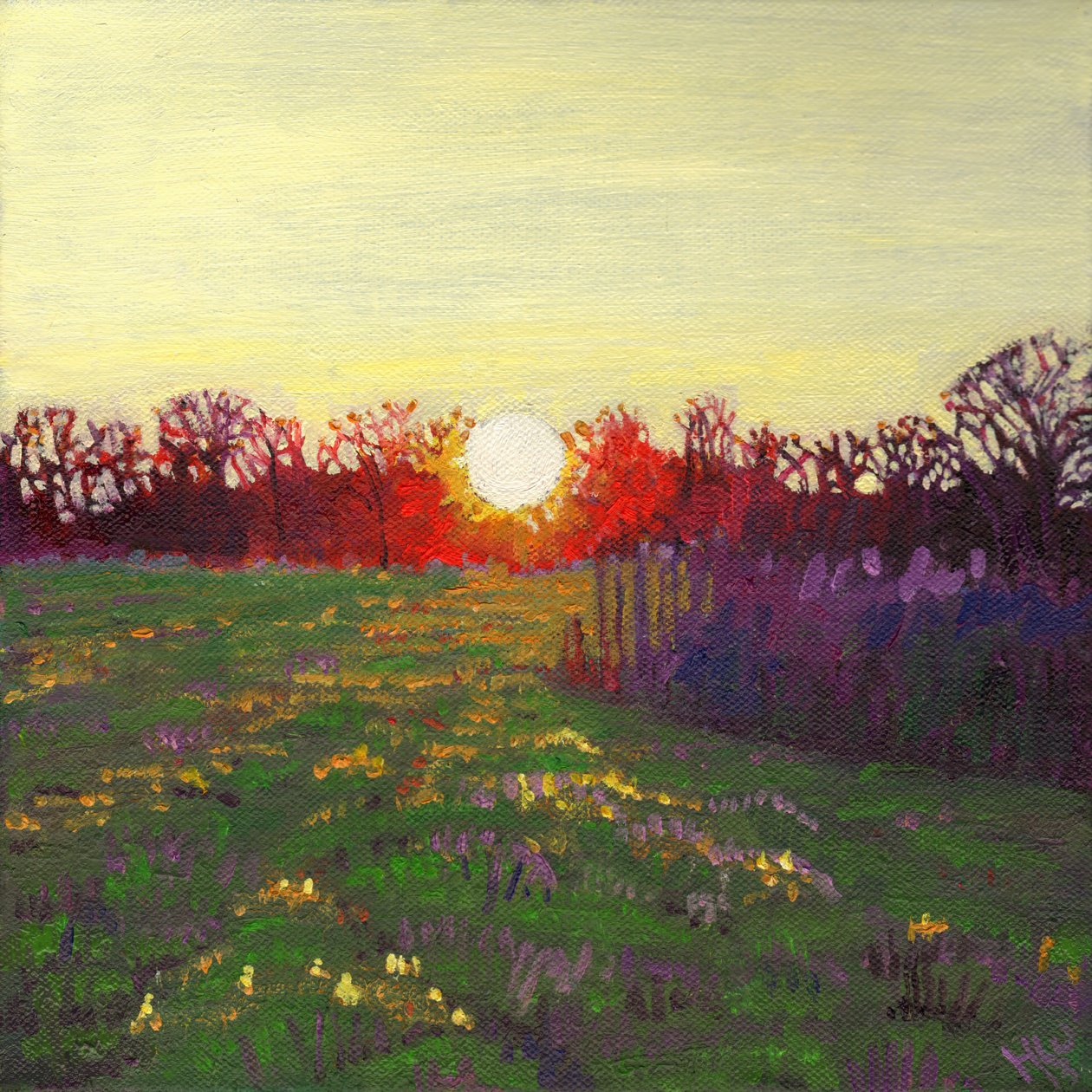 A fény útja, 2013 alkotó: Helen White