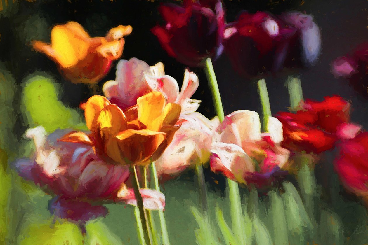 Tulipánmező, 2018, alkotó: Helen White