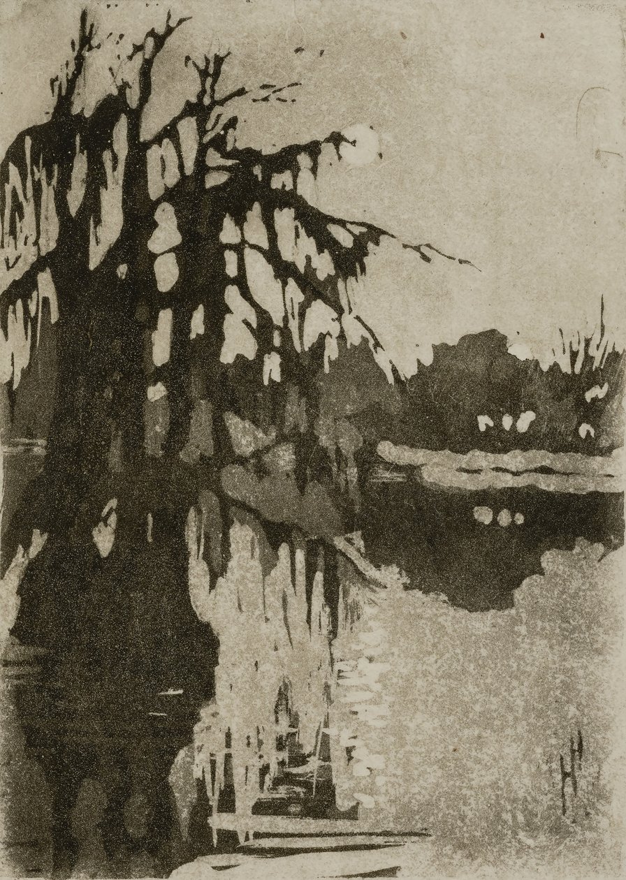 Ciprusfák alkotó: Helen Hyde