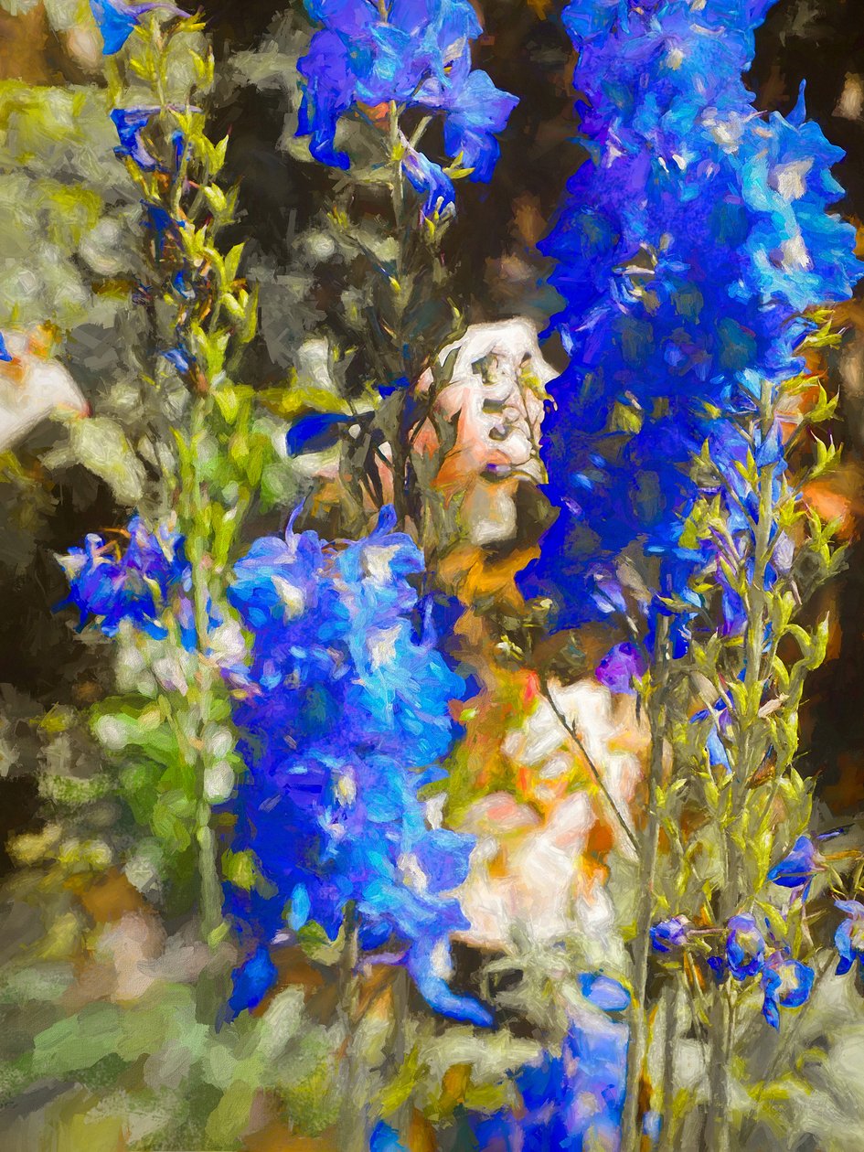 Blue Delphinium, 2019 alkotó: Helen White