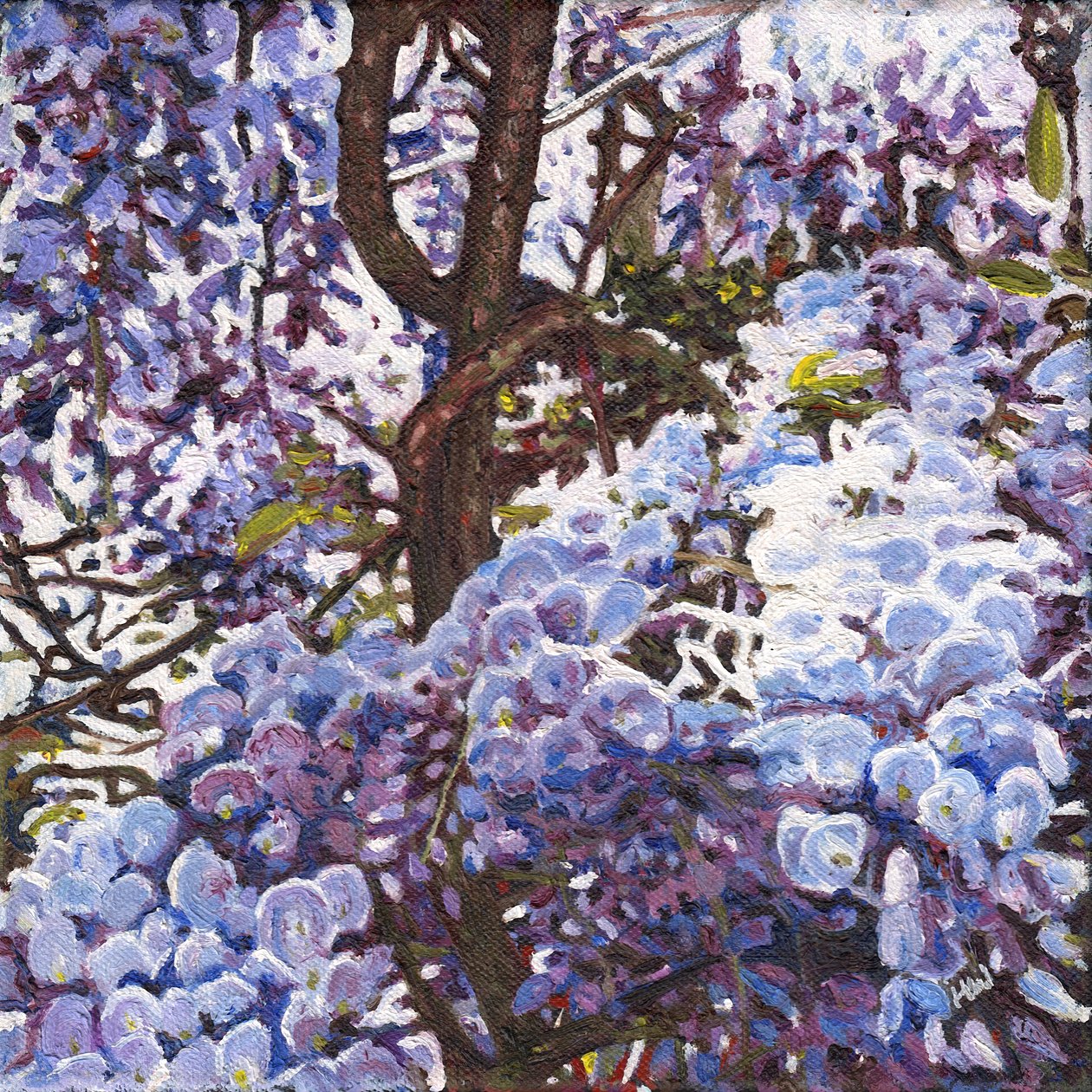Blue Wisteria, 2012 alkotó: Helen White
