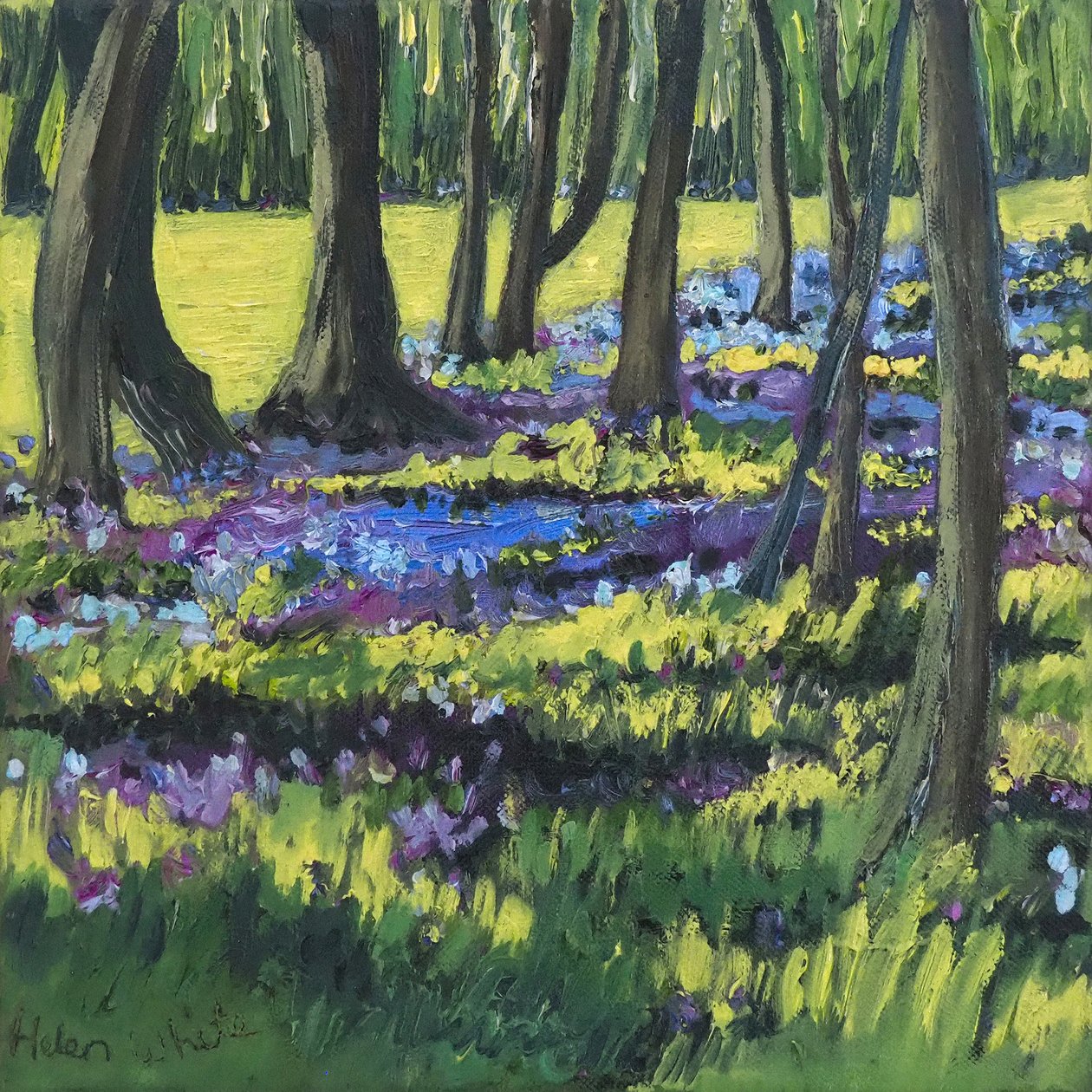 Bluebell Wood, 2008 alkotó: Helen White