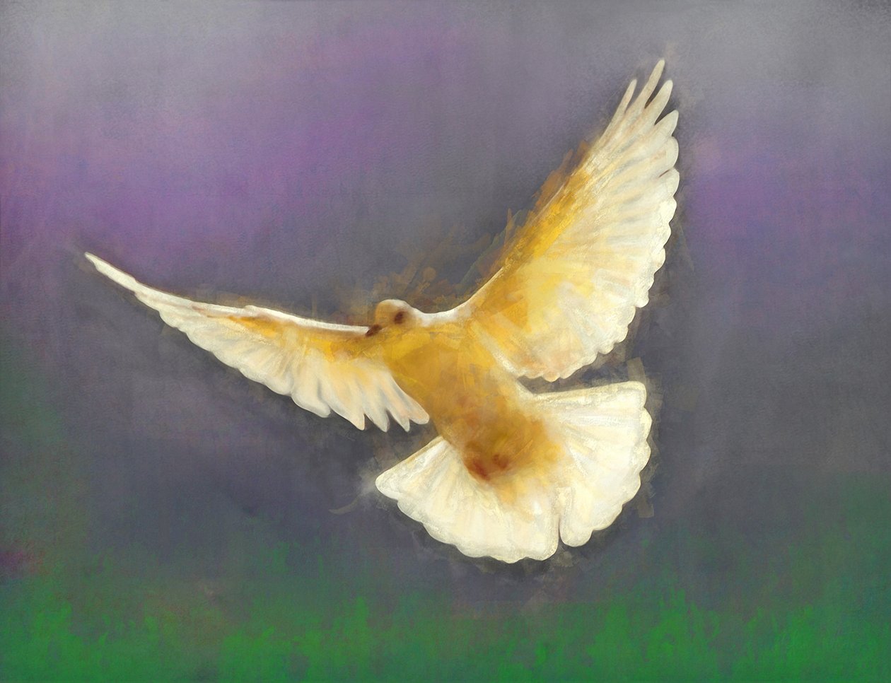 Békehozó, 2019 alkotó: Helen White