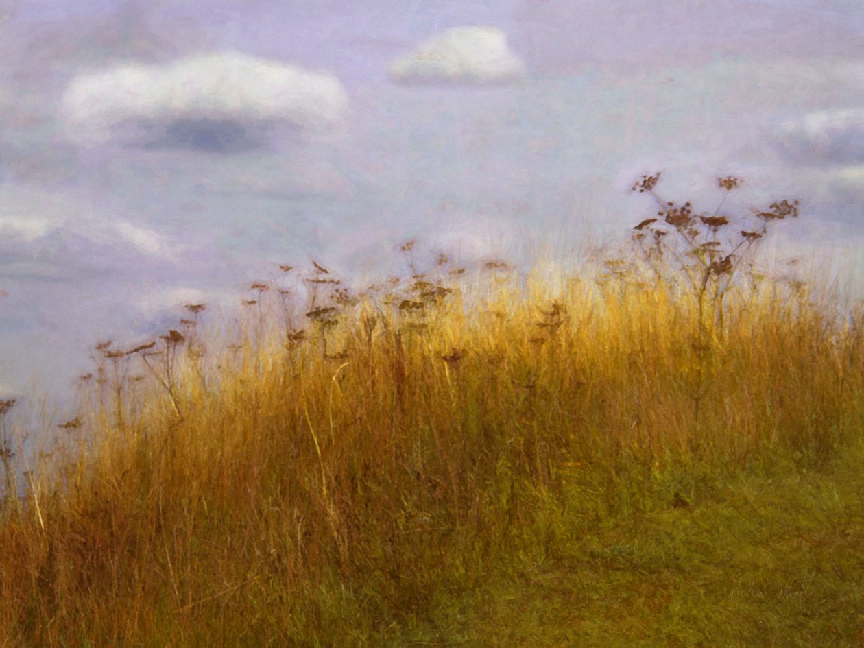 Drifting, 2019 alkotó: Helen White