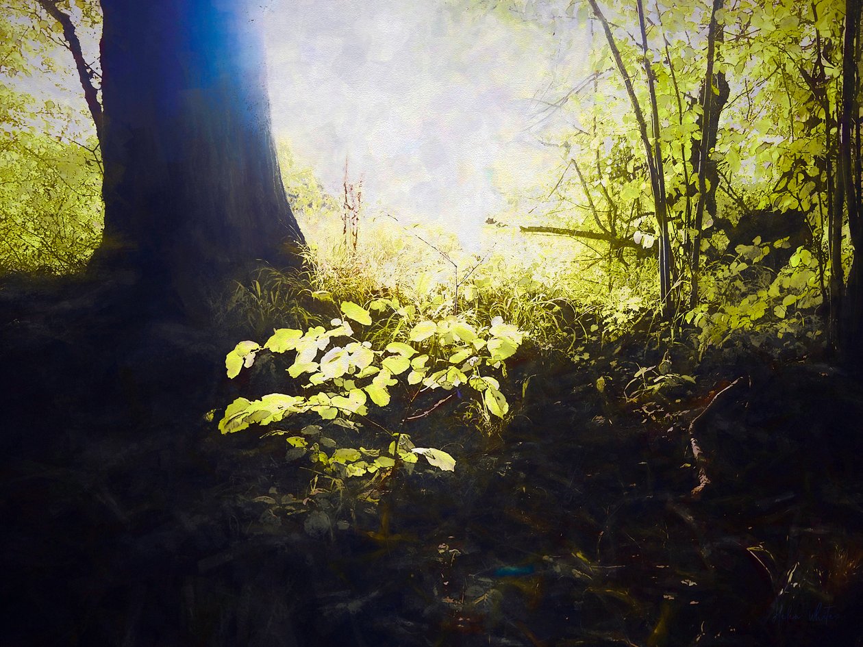 Megszentelt hely, 2018 alkotó: Helen White