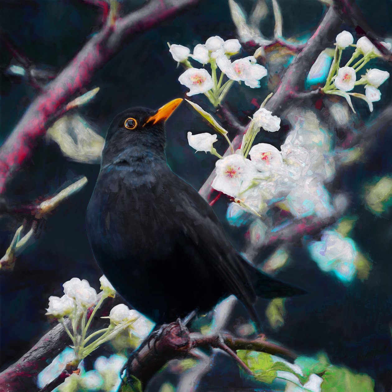 Lord of the Summer Song, 2019 alkotó: Helen White