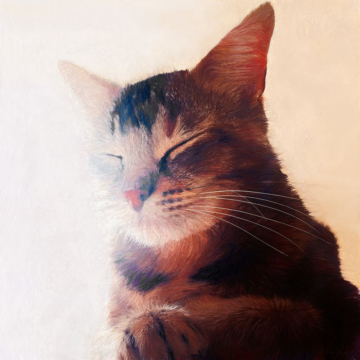 Purr-fect Spot, 2018 alkotó: Helen White