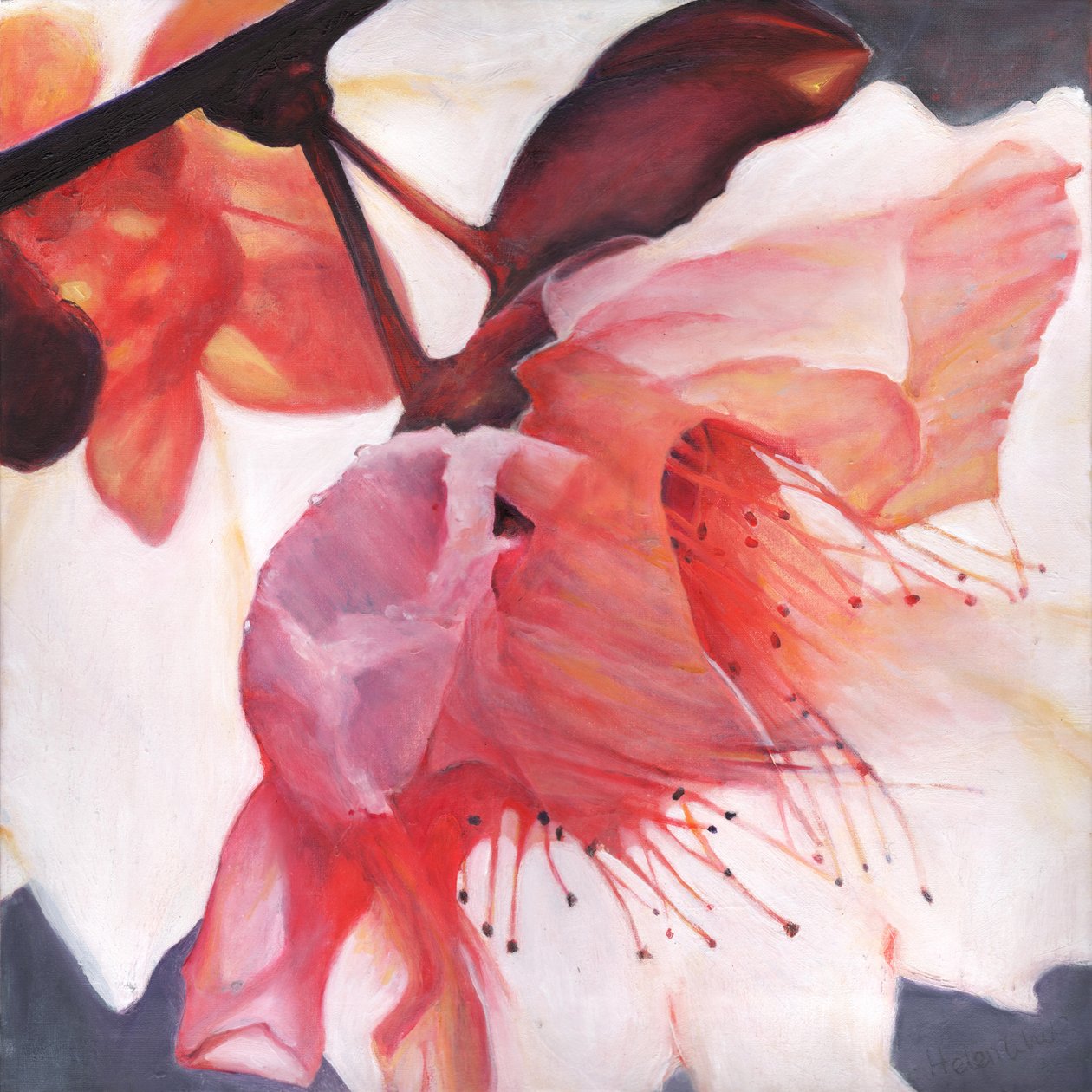 Shakti tánc, 2016, alkotó: Helen White