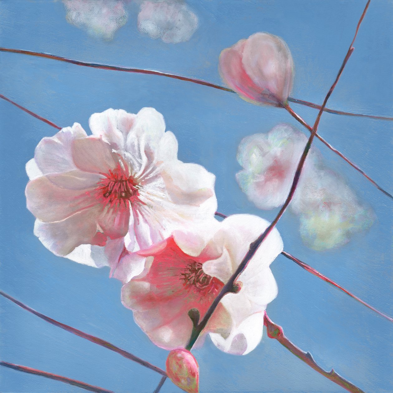 Ragyogó kezdés, 2015 alkotó: Helen White