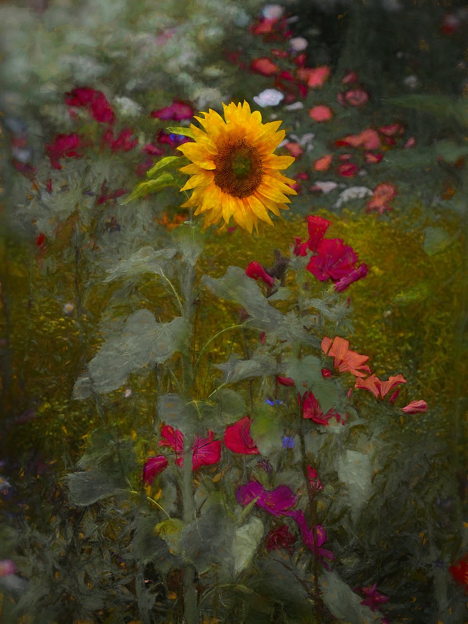 Napkirály, 2019 alkotó: Helen White