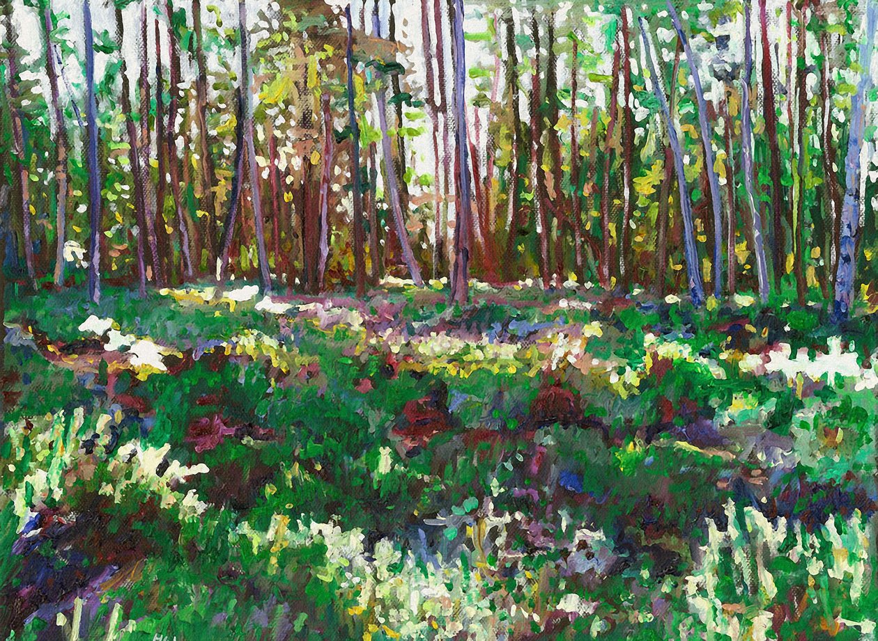 Sunlight on Heather, 2011 alkotó: Helen White