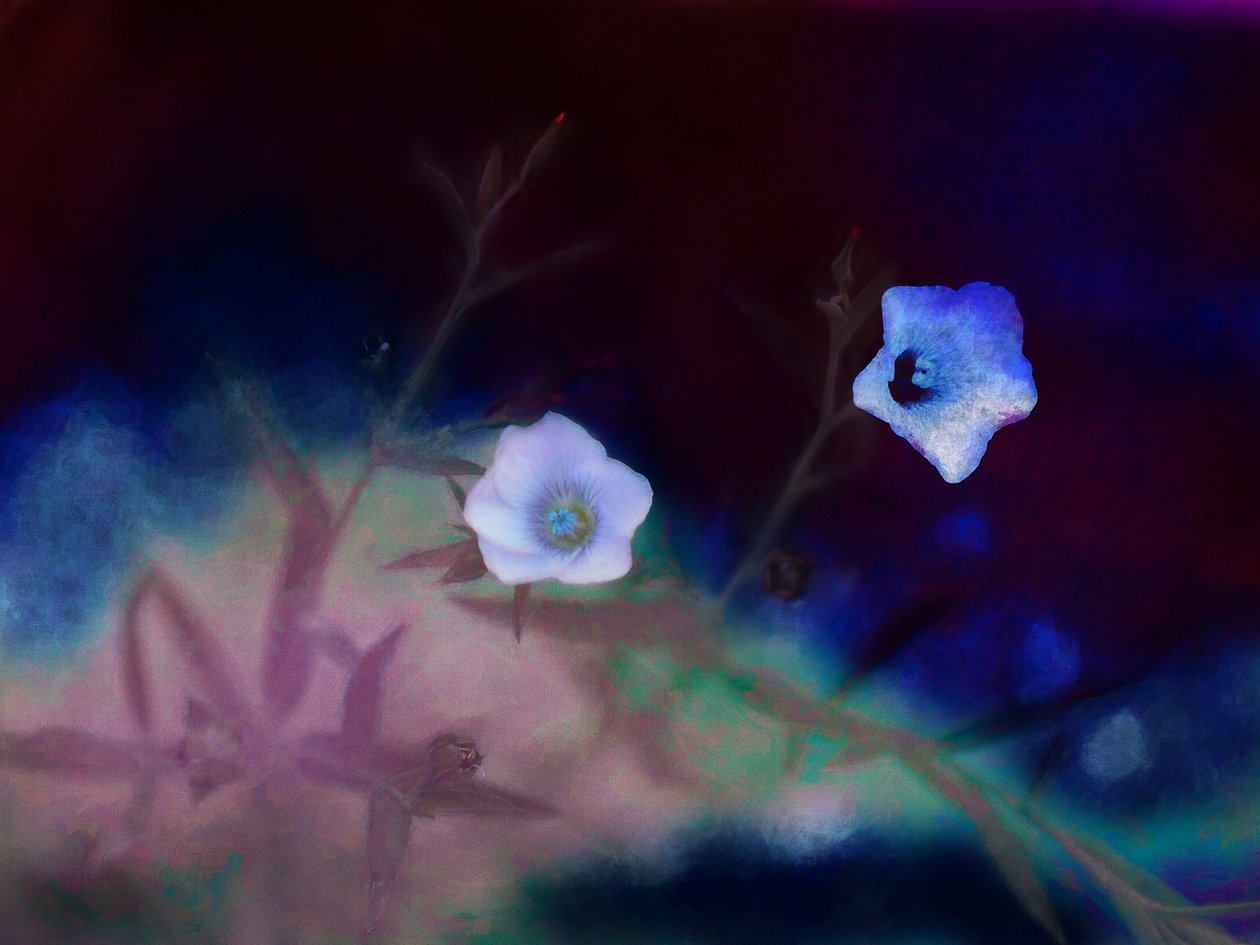 Múlandóság, 2019 alkotó: Helen White
