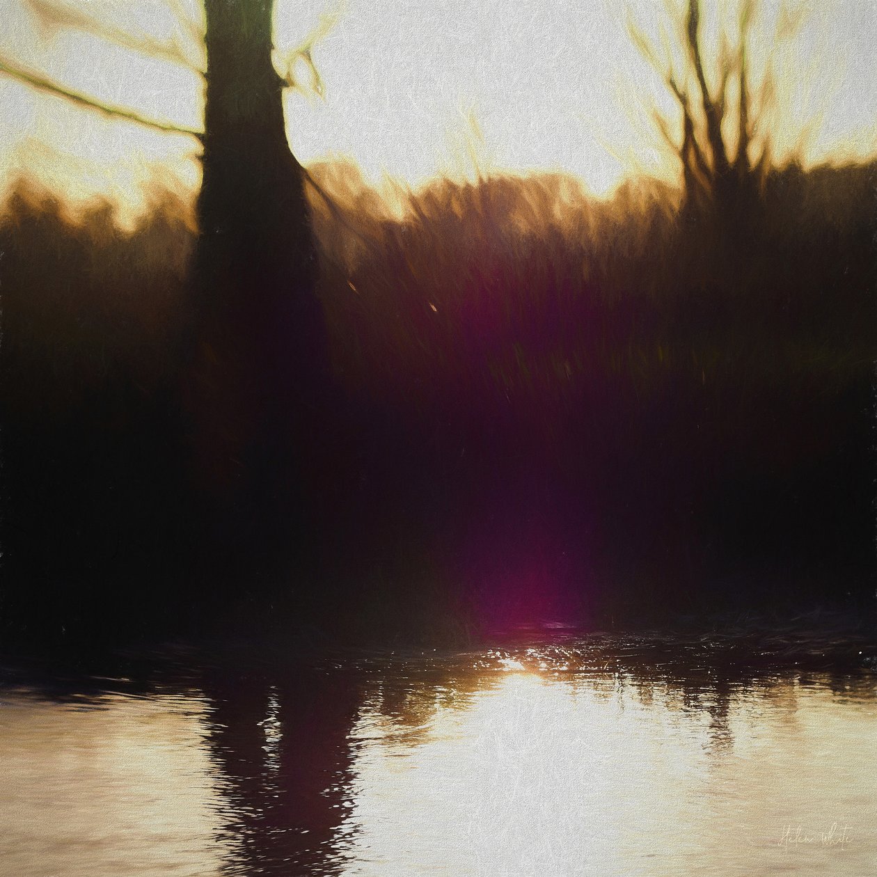 Violet Haze, 2018, alkotó: Helen White