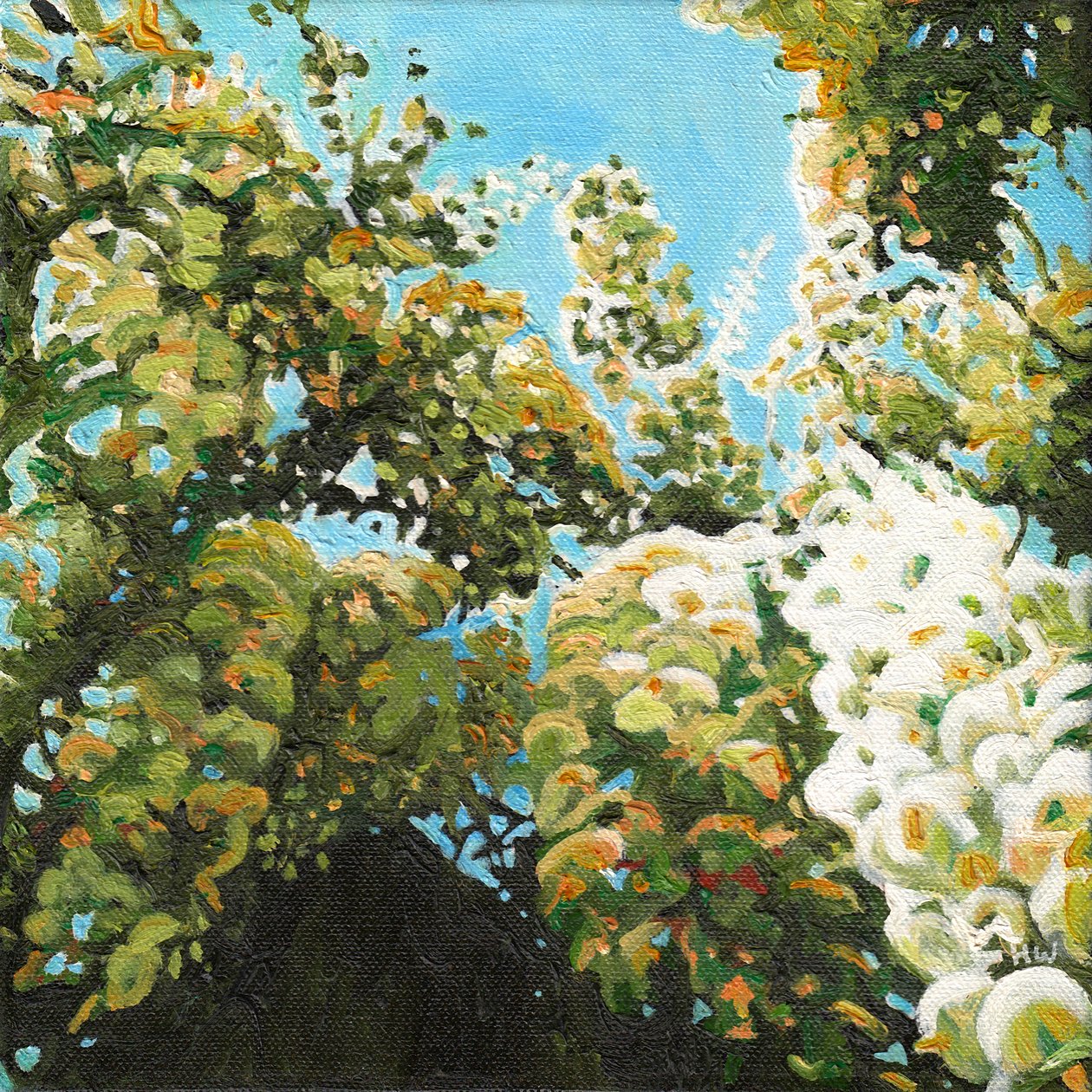 White Wisteria, 2012 alkotó: Helen White