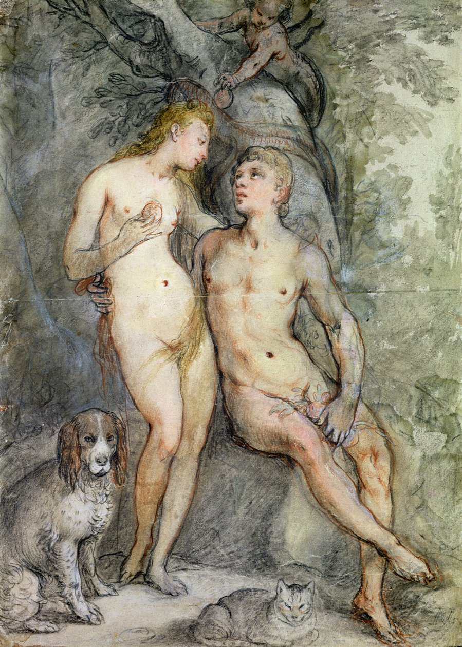Ádám és Éva (ceruza és színes ceruza papíron) alkotó: Hendrik Goltzius