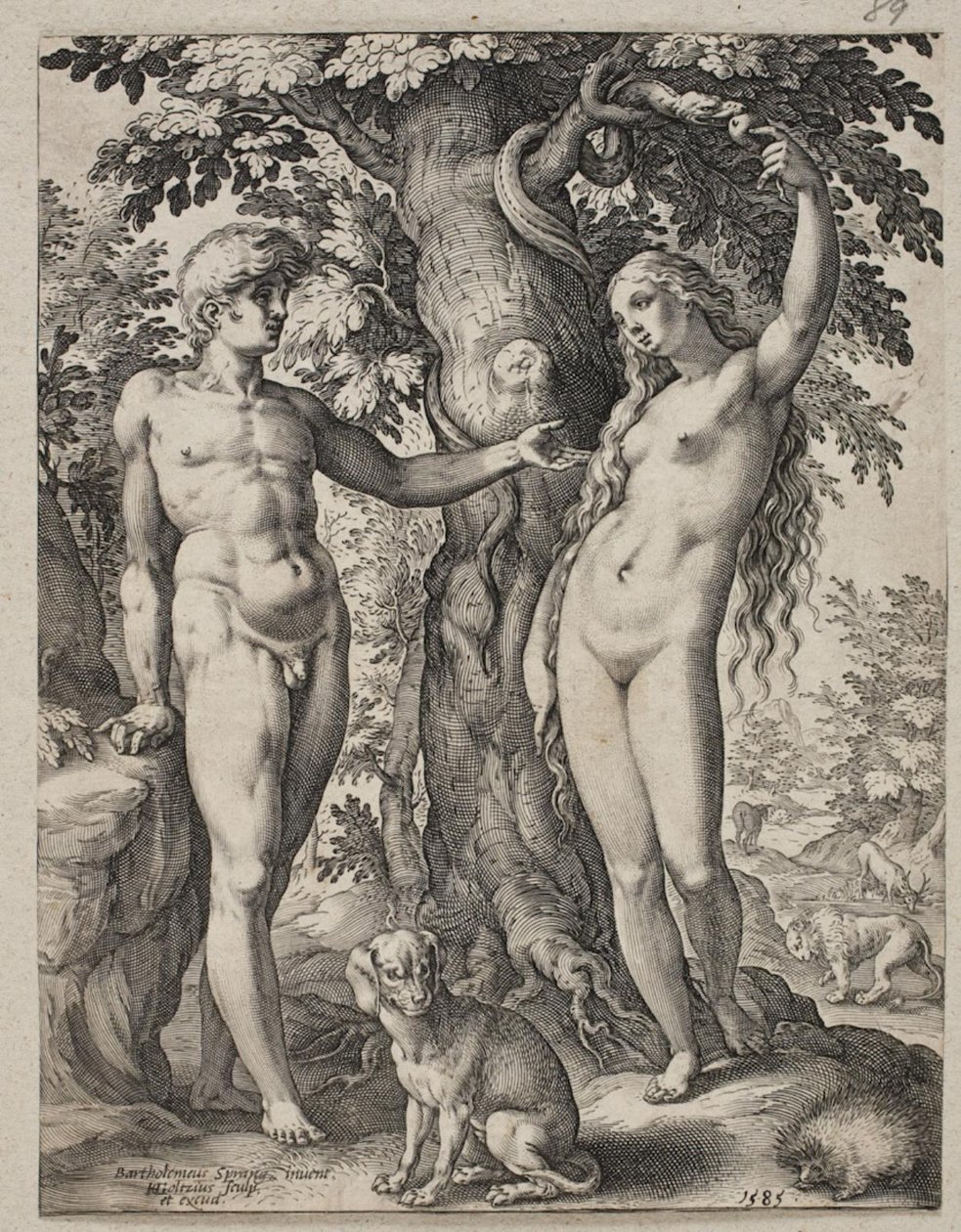Ádám és Éva alkotó: Hendrick Goltzius