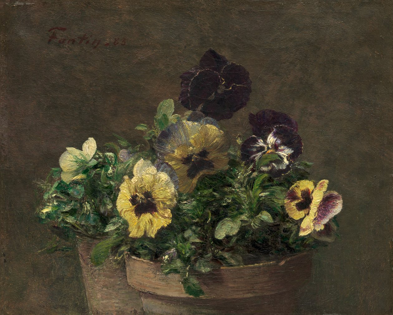 Cserepes árvácska, 1883. alkotó: Ignace Henri Jean Fantin Latour