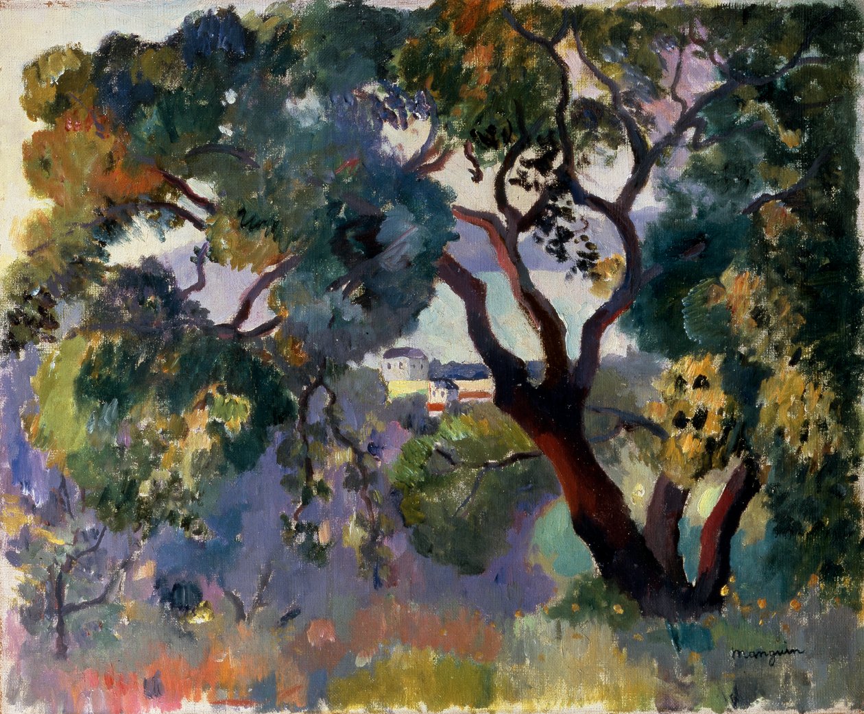 "Táj Saint-Tropezben", 1905. alkotó: Henri Manguin