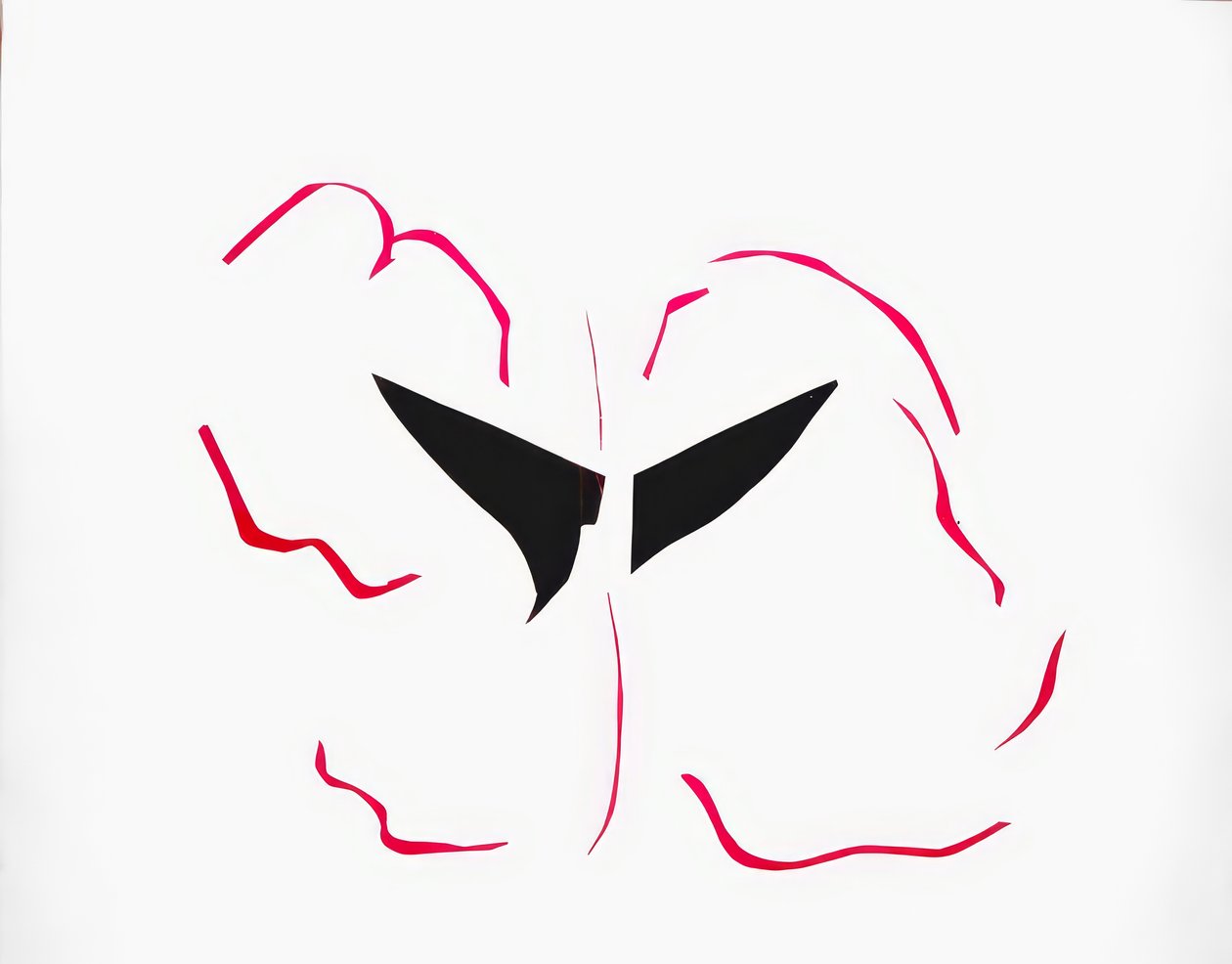 Hajó alkotó: Henri Matisse
