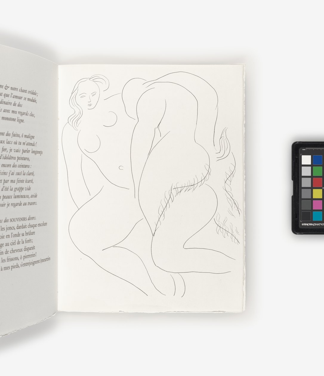 Költészet alkotó: Henri Matisse