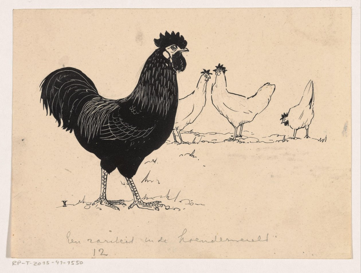 Csirkék alkotó: Henri Verstijnen