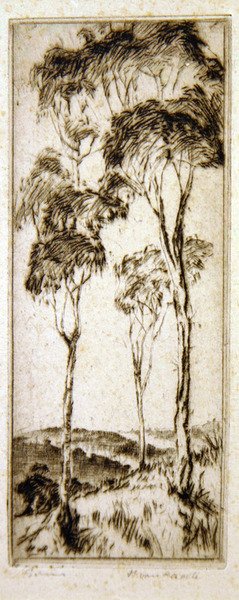 Gumifák (rézkarc) alkotó: Henri van Raalte