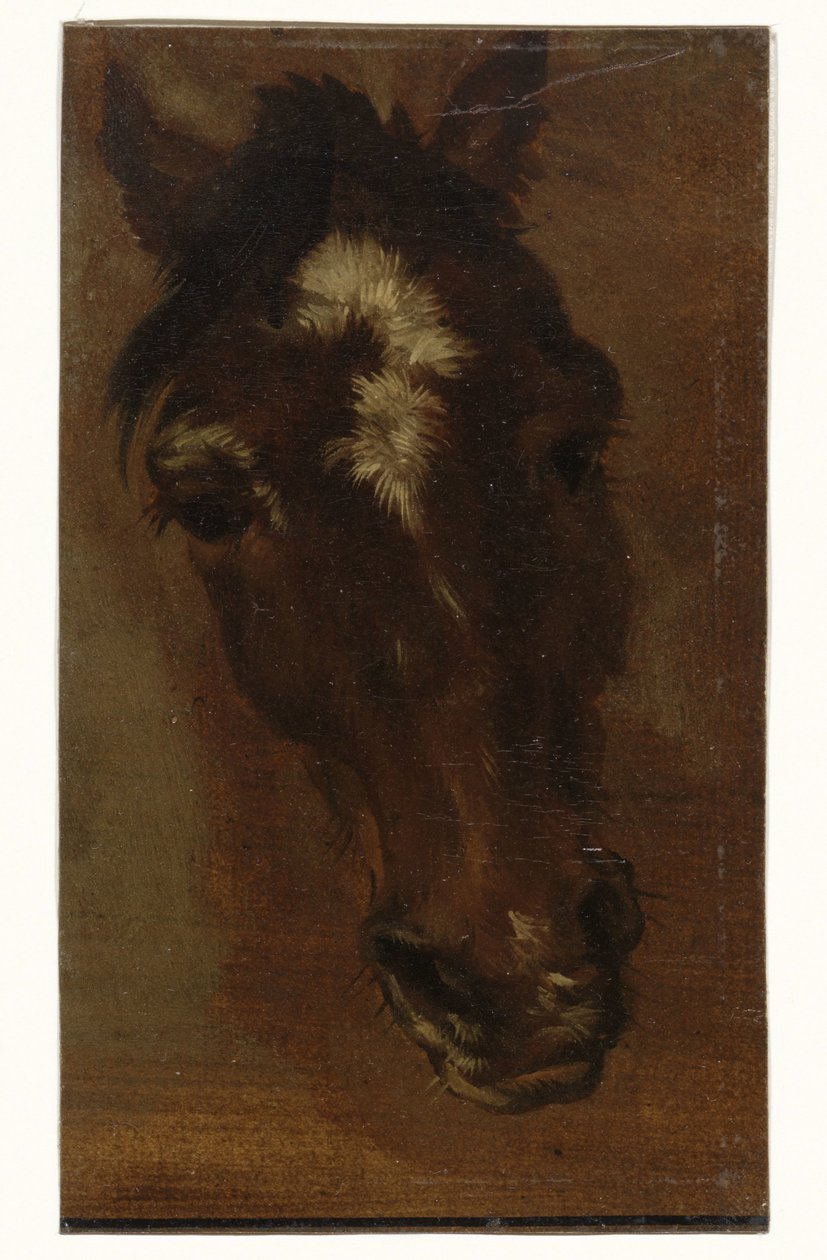 lófej alkotó: Henriëtte Ronner