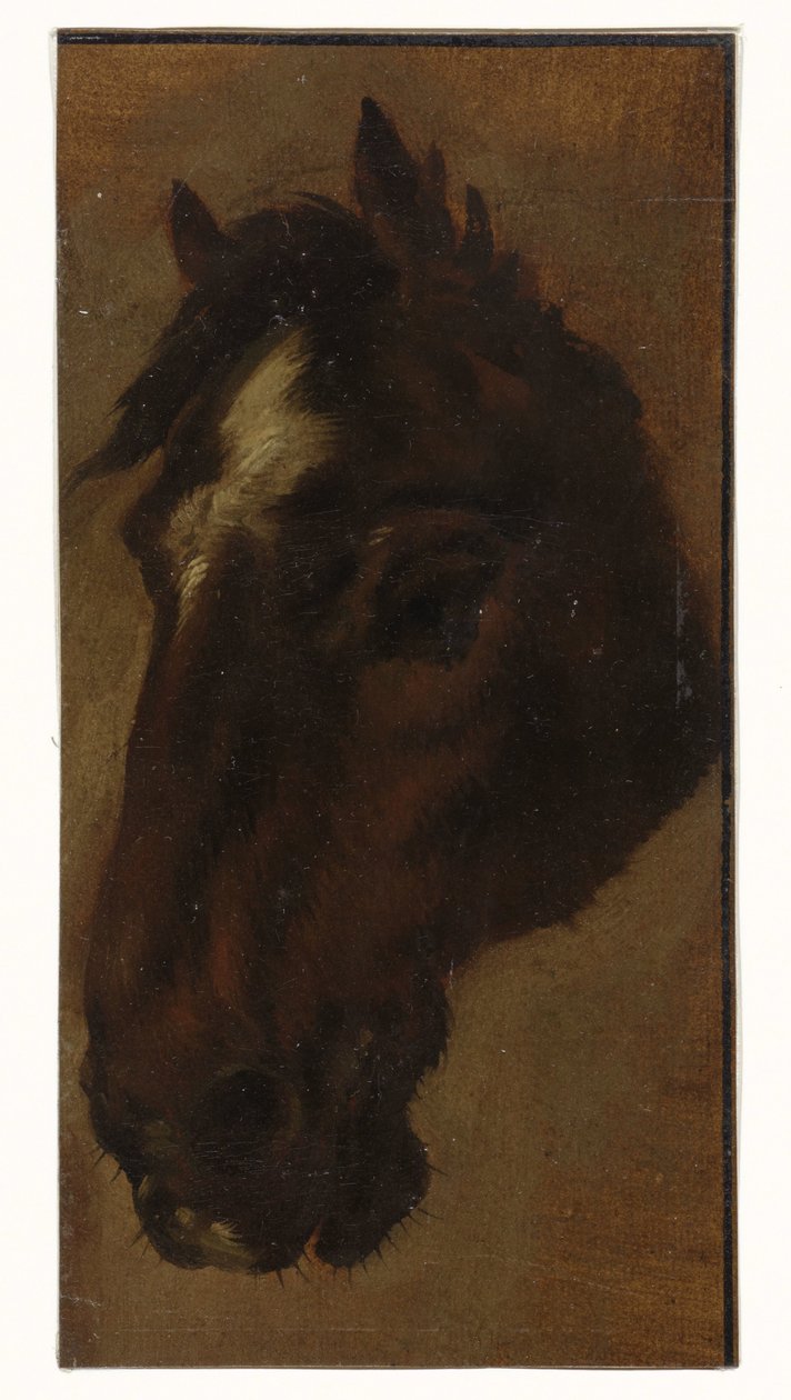 lófej alkotó: Henriëtte Ronner