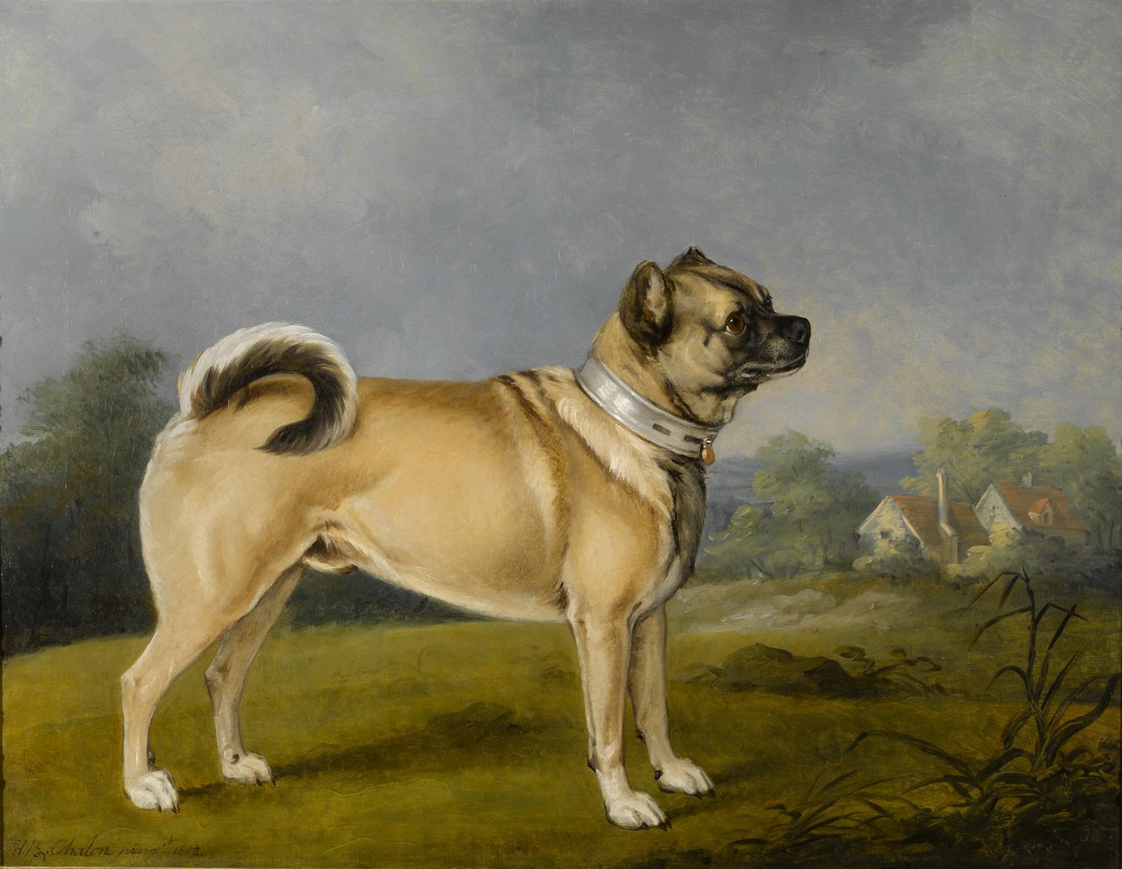 Kedvenc mopsz alkotó: Henry Bernard Chalon