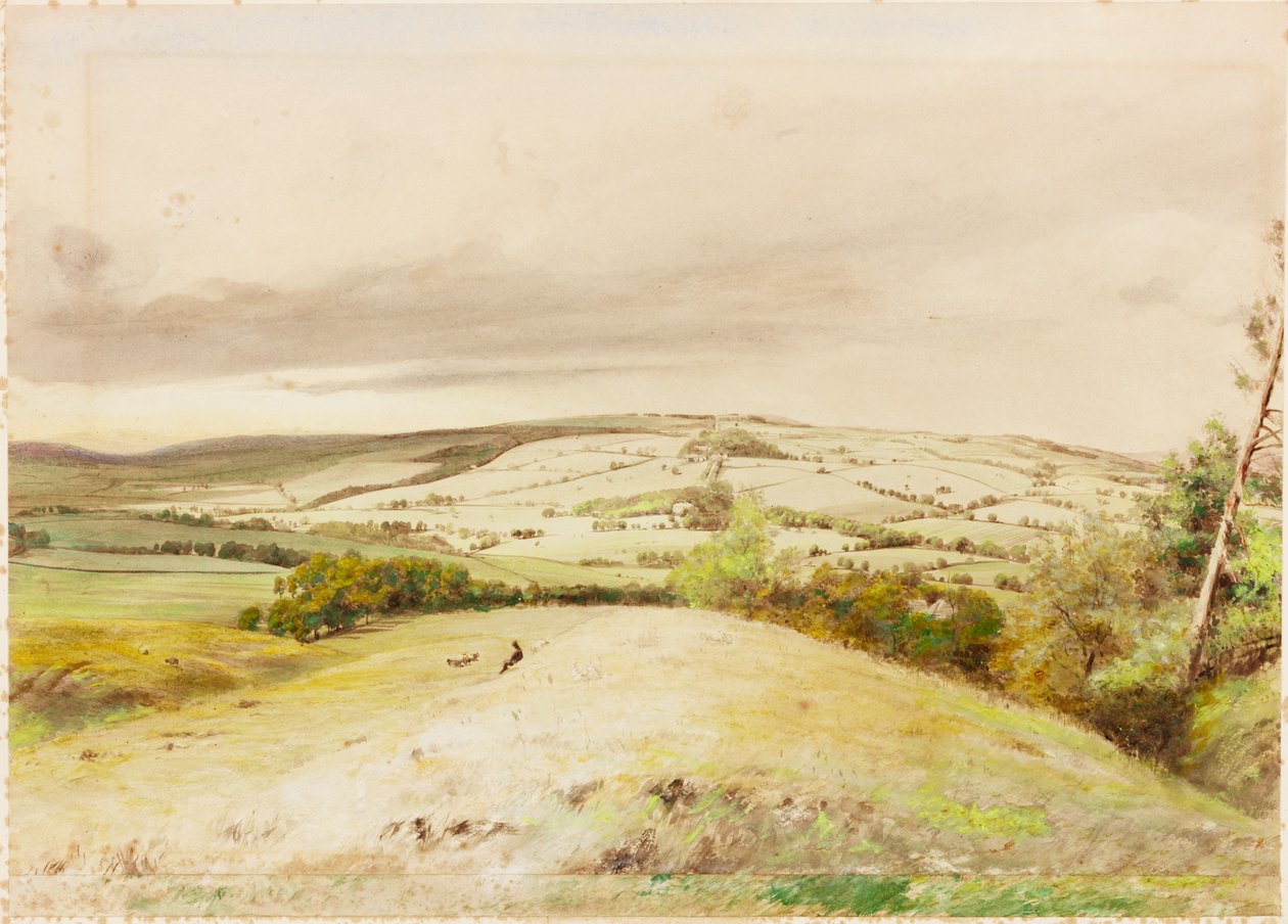 Brunton Bank (testszín) alkotó: Henry Burdon Richardson