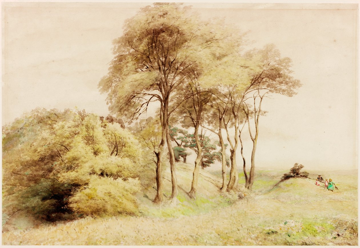 Drumburgh (testszín) alkotó: Henry Burdon Richardson