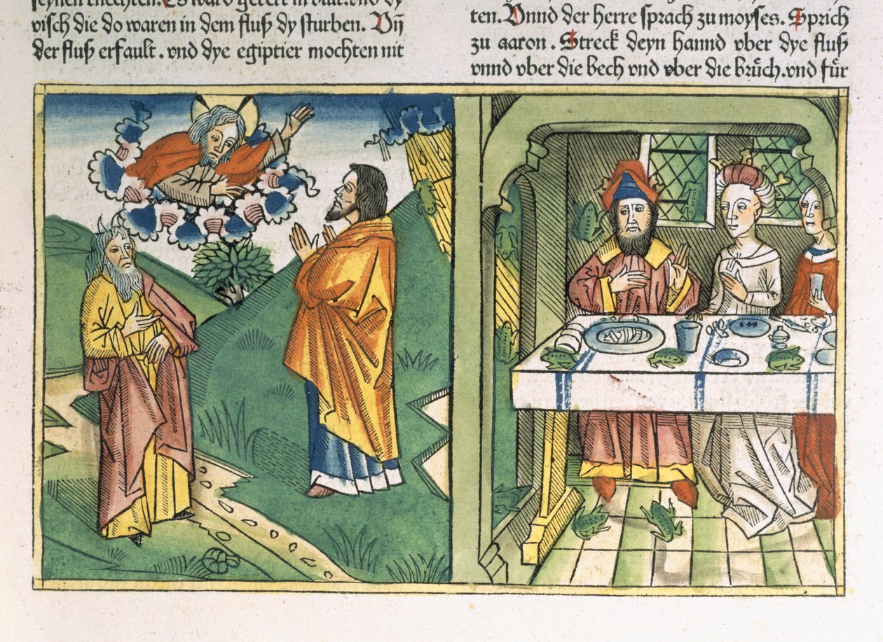 2Móz 8 1-15 Egyiptom hét csapása: Mózes és a békák csapása, a "Nürnbergi Bibliából (Biblia Sacra Germanaica)" (színes fametszet). alkotó: Henry Room
