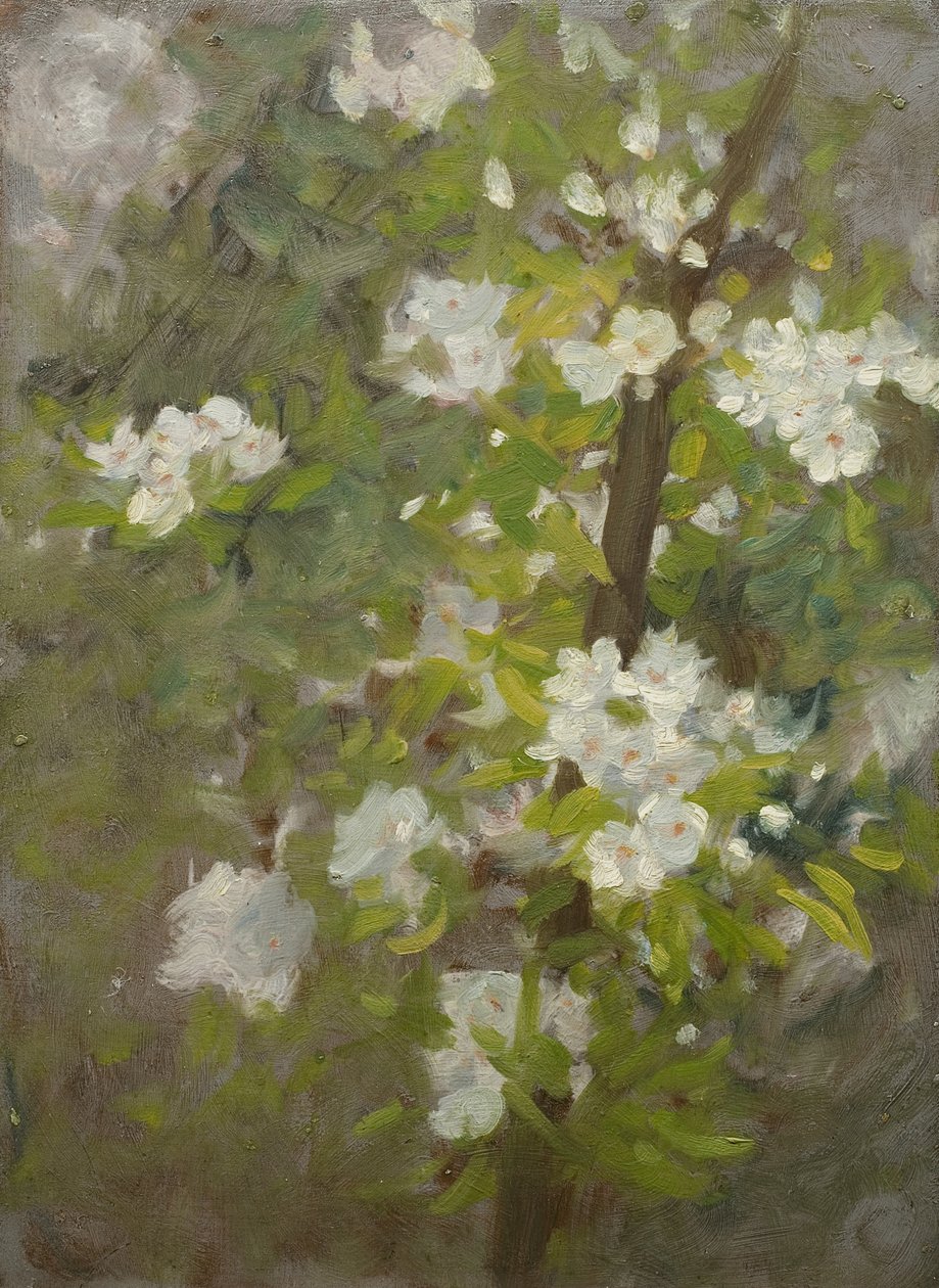White Blossom alkotó: Henry Scott Tuke