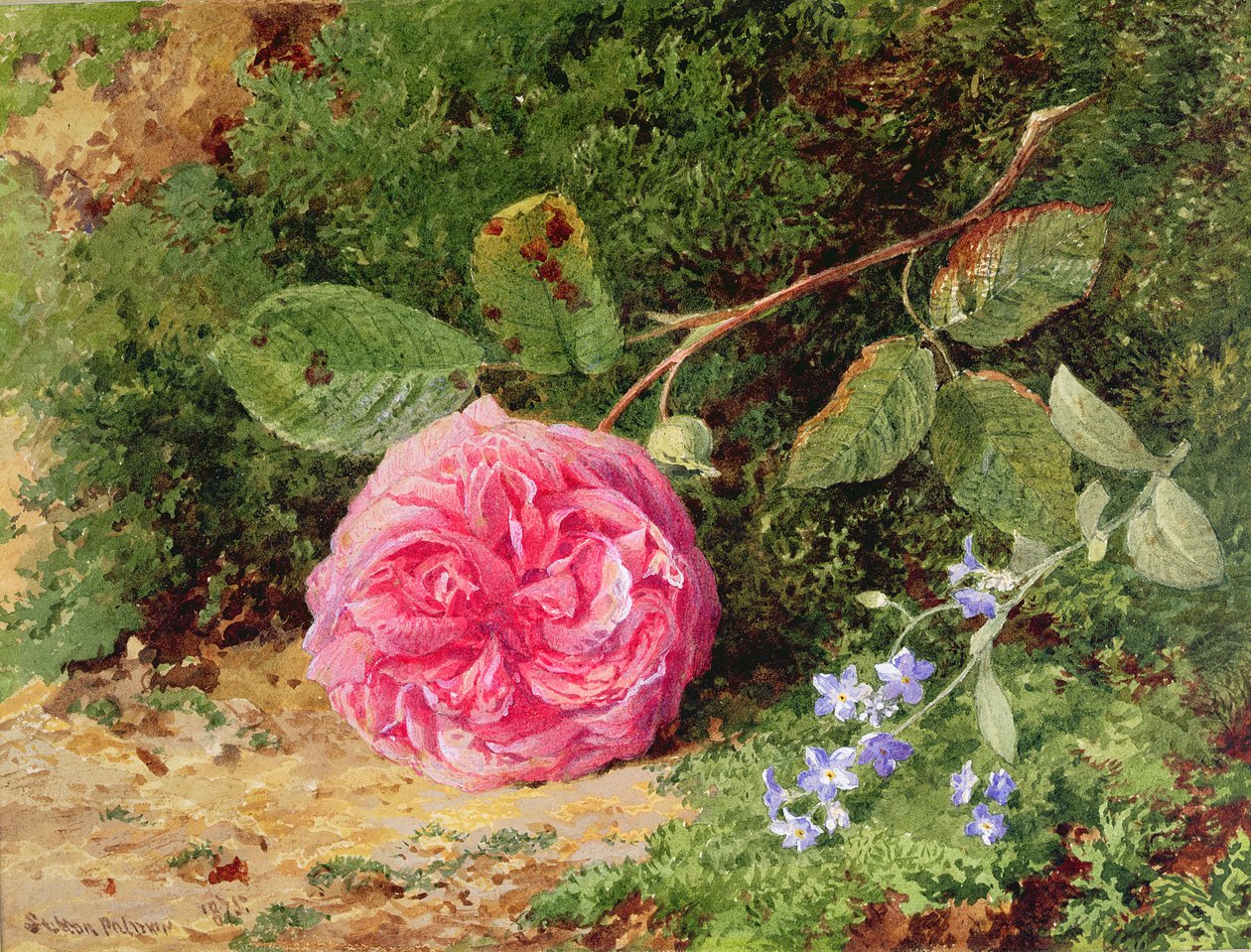 Rózsaszín rózsa a mohás parton, 1875 alkotó: Henry Sutton Palmer