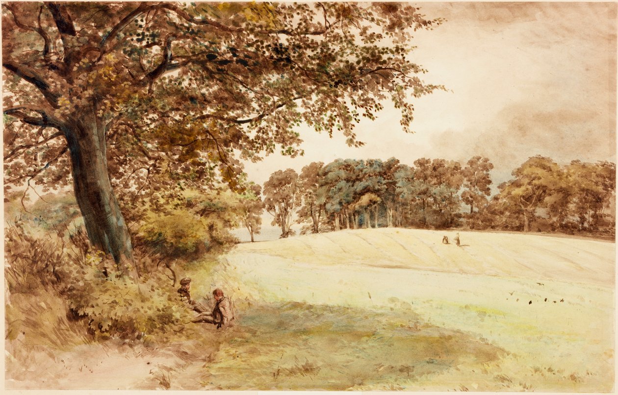 Benwell Hill Top (testszín) alkotó: Henry Burdon Richardson