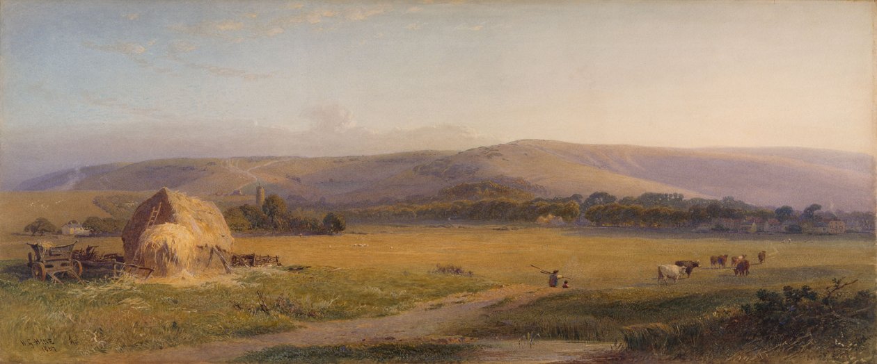 South Downs legelők, 1867 alkotó: Henry George Hine