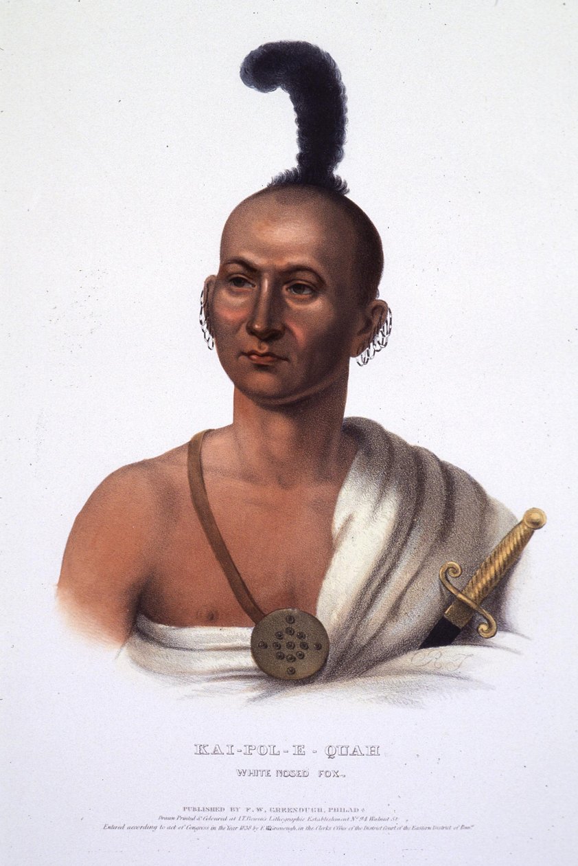 Kai-Pol-E-Quah, Fehér Orrú Róka alkotó: Henry Inman