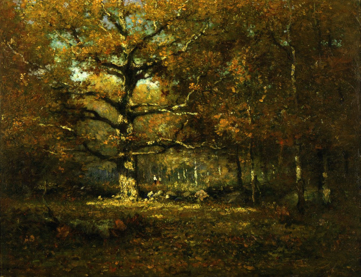 Connecticut Woods, 1899. alkotó: Henry Ward Ranger