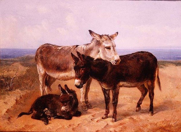 Homok szamarak alkotó: Henry Weekes