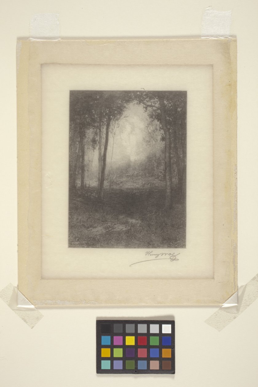 In The Adirondacks (tinta) alkotó: Henry Wolf