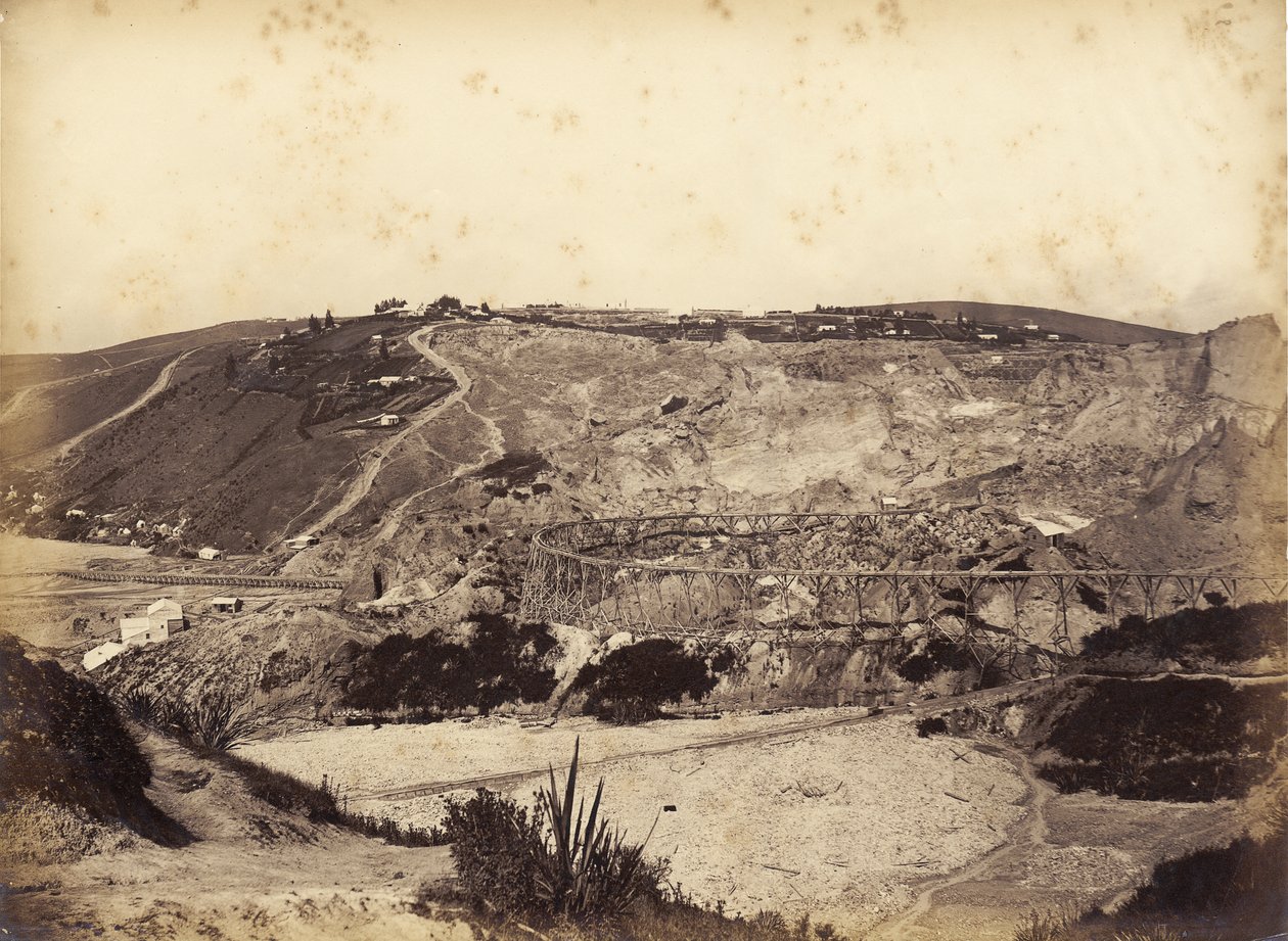 Kék sarkantyú, 1870-es évek közepe (albumin nyomat) alkotó: Herbert Deveril