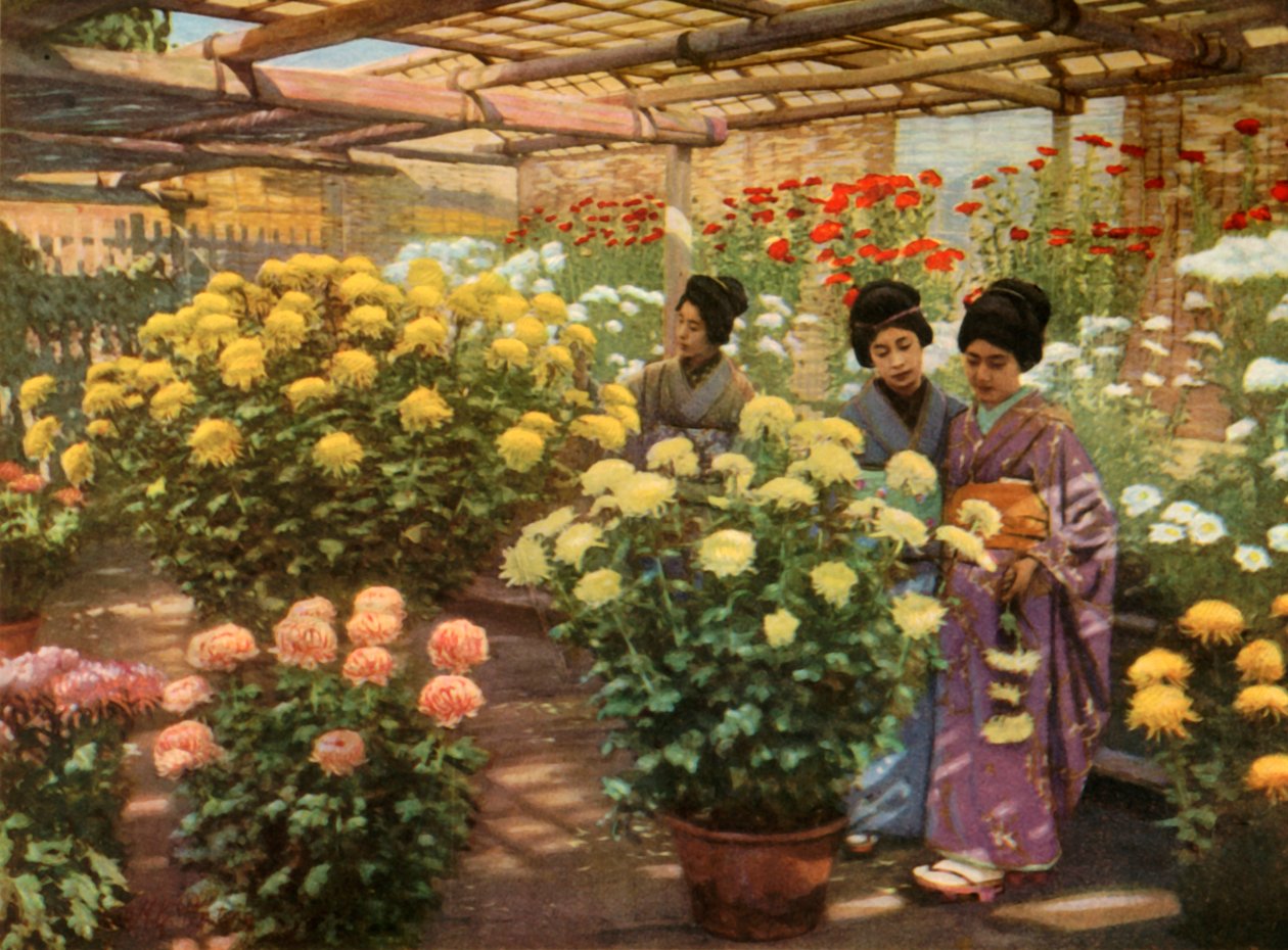 A Krizantém bemutatón, 1910. alkotó: Herbert Ponting